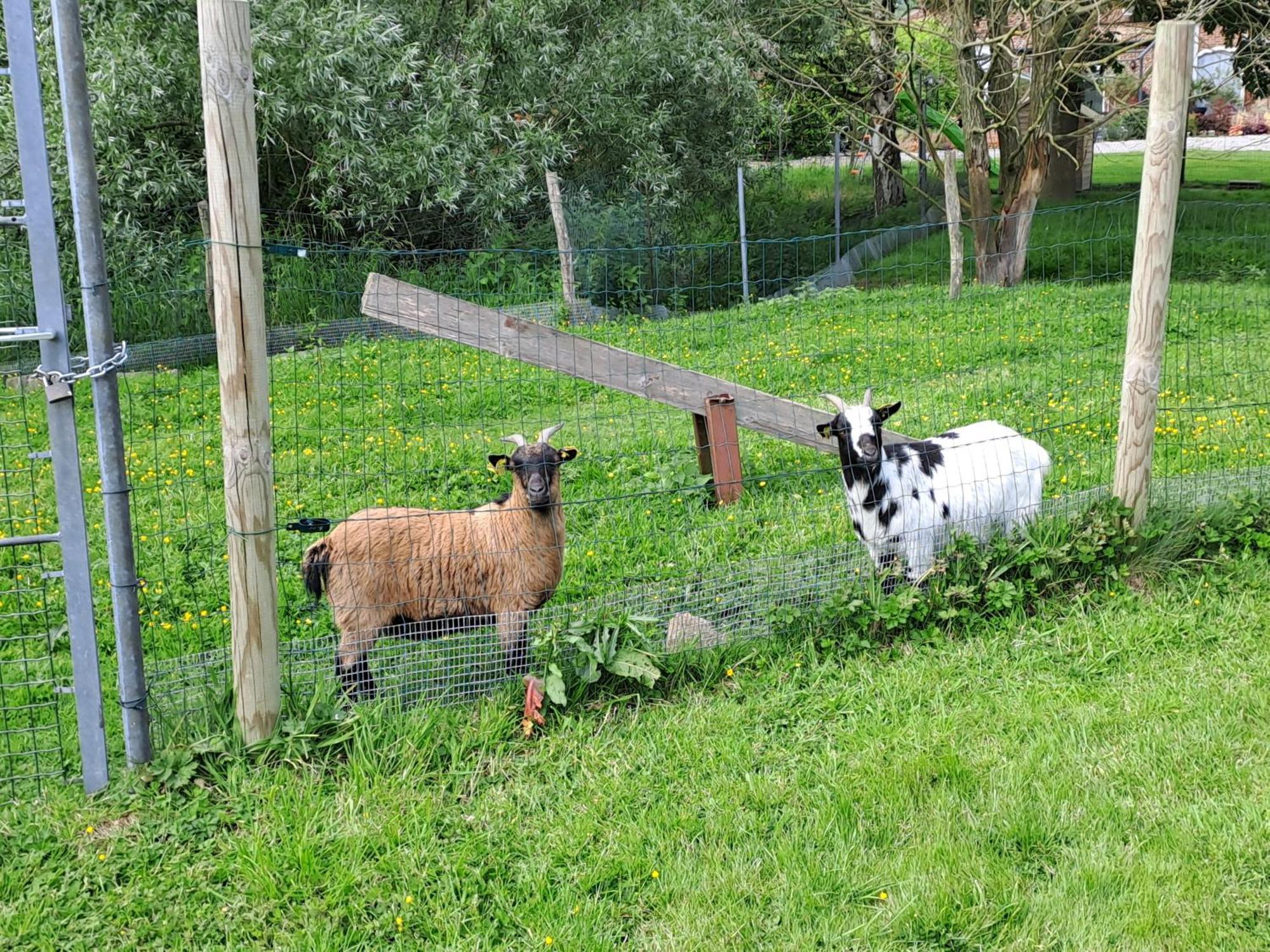 Monts De Flandre Insolite Berthen Bagian luar foto